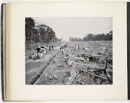 Clearing jungle for a plantation in Sukaranda