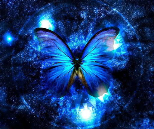 Magic Butterfly