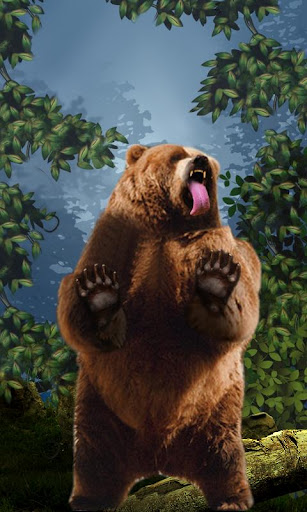 Bear Licks Live Wallpaper