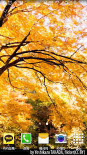 How to install autumn yellow livewallpaper lastet apk for pc