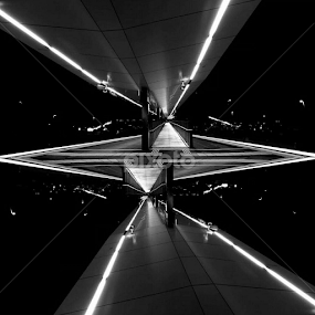 'Perspective'  by Carey Carter - Uncategorized All Uncategorized