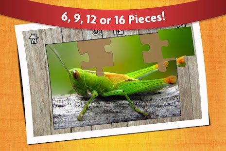 Kids Games Bugs Jigsaw Puzzles Screenshots 2