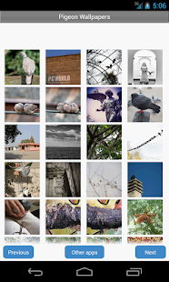 How to get Pigeon Wallpapers patch 1.2 apk for bluestacks