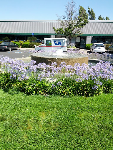 Fountain and Flowers 