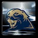 Pittsburgh Panthers LWP