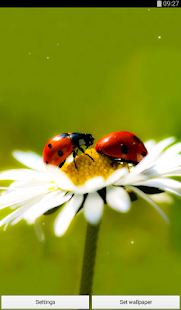 How to install Springtime Live Wallpaper 1.0 apk for bluestacks