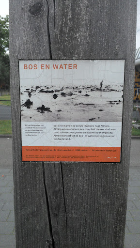 Bos En Water