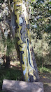 Painted Tree