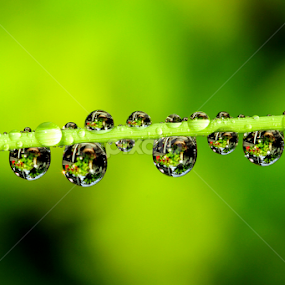 WaterDrops by JL Tan - Abstract Water Drops & Splashes