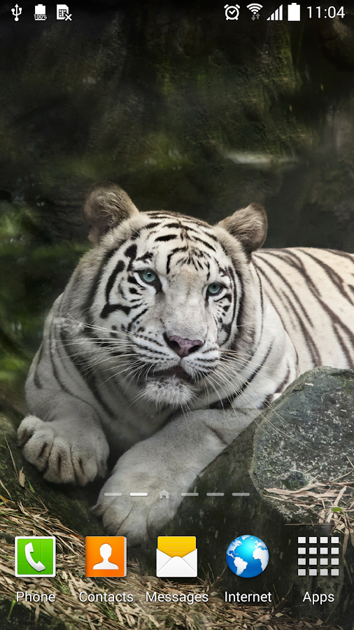 Tiger Live Wallpaper Android Apps on Google Play