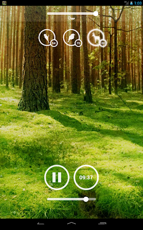 Forest Sounds - Nature & Sleep v2.4.6
