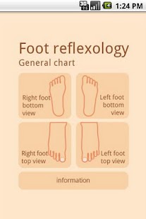 Foot Reflexology chart