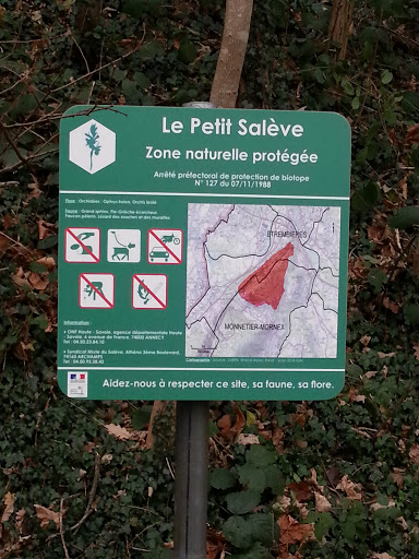 Forêt Du Petit Salève