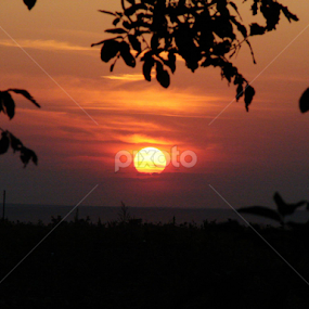 Burlanesti by Doina Arnaut - Landscapes Sunsets & Sunrises
