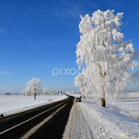 by Rita Bugiene - Landscapes Prairies, Meadows & Fields