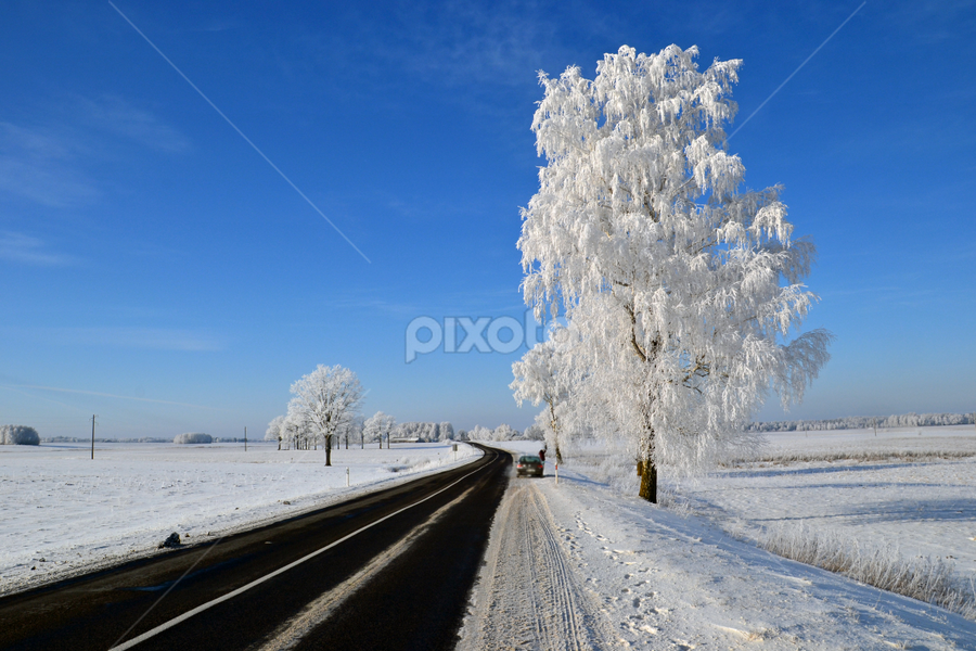by Rita Bugiene - Landscapes Prairies, Meadows & Fields
