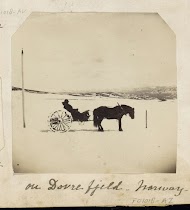 Paard en wagen op het besneeuwde bergplateau van Dovrefjell