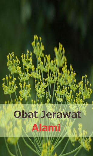 Obat Jerawat Alami