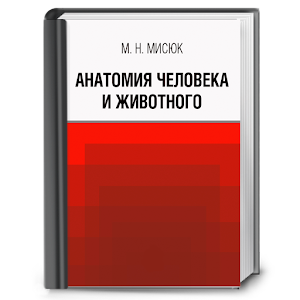 Anatomy of the man and animal 1.0.1