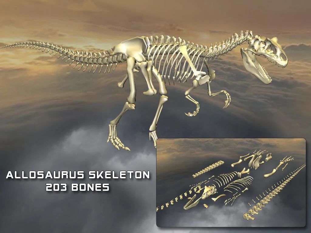 Body Disassembly 3D - screenshot