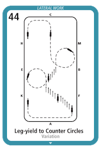 How to get 101 Dressage 2.14.049 mod apk for pc