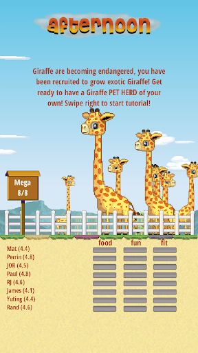 Giraffe Herd:Release into Wild