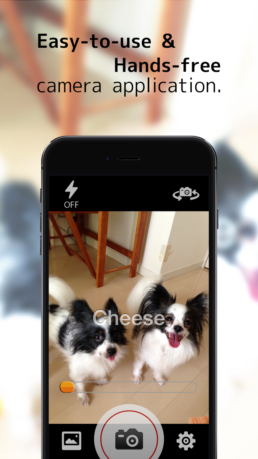 VoiceShutter Screen 3