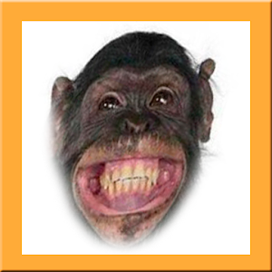 Imagenes chistosas WhatsApp 1.0