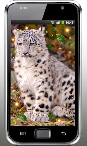 Snow Leopards Voice HD LWP