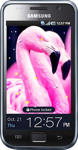 Flamingo Pink live wallpaper