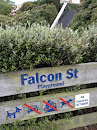 Falcon Street Playground