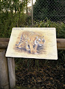 Tiger Enclosure