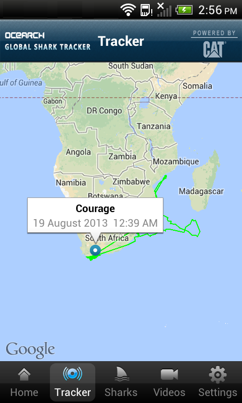 Global Shark Tracker Screen 2