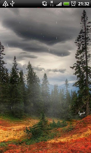 Lightning Rain Storm :