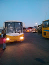Terminal Bus