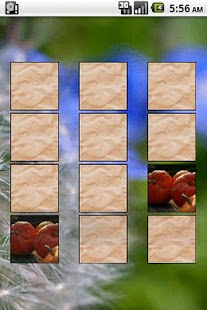 Lastest Card Match Donate Memory Game APK for PC