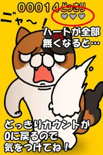 download どっきりねこ〜かわいい猫アプリ〜 free