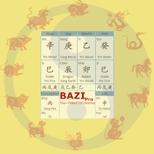 Bazi Pro (Chinese Astrology)