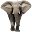 Know Your Mammals Download on Windows