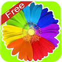 iMagic – image studio logo