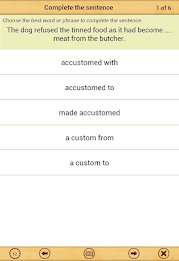 11+ English - Practice Papers poster 19