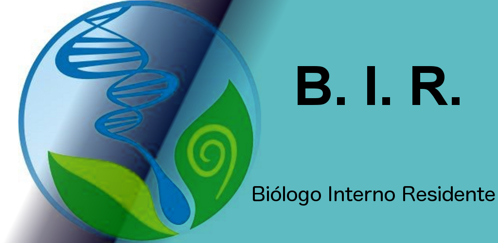 Bir by. Bir by