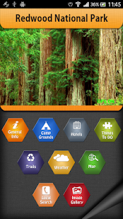 Redwood National Park - náhled