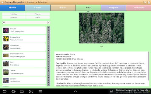 Caldera de Taburiente Parque N Screenshots 3