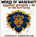 World Warcraft Alliance LVL 85