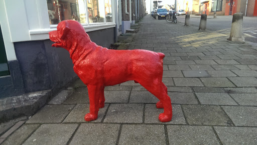 Beeld Van Rode Hond