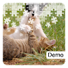 Kitten Jigsaw Puzzles Demo
