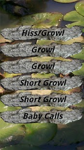 How to get Alligator Call 1.0 unlimited apk for android