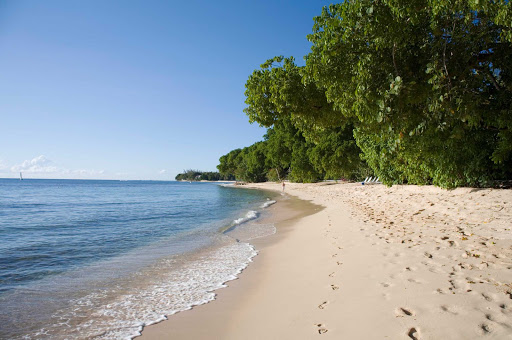 Reeds Bay on Barbados.