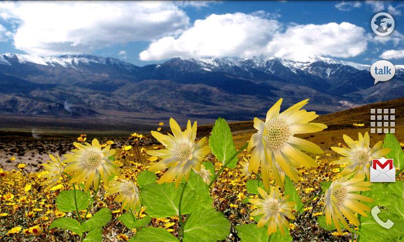 Flowers Live Wallpaper Screen 3